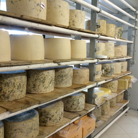 Pure Artisan Cheese Factory Tamborine Mountain Gold Coast