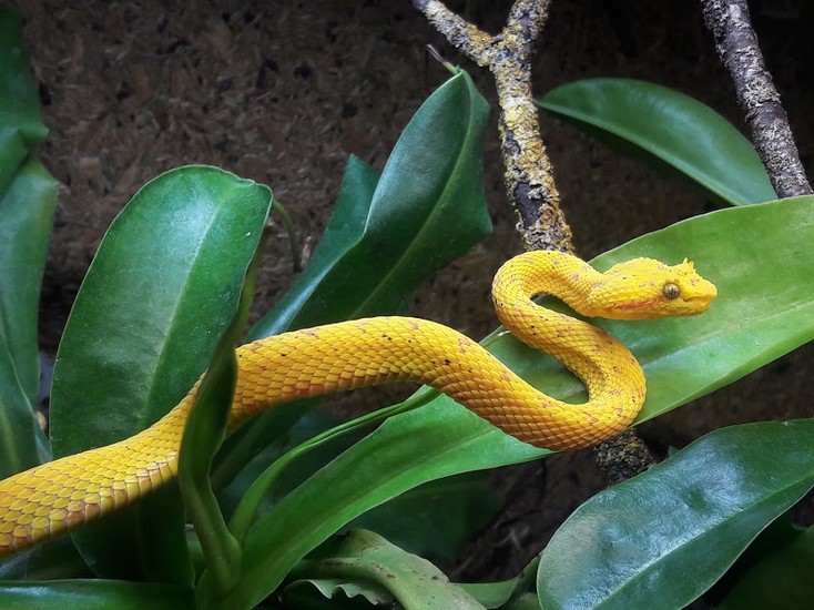 Mini Zoo Leisure Pärnu