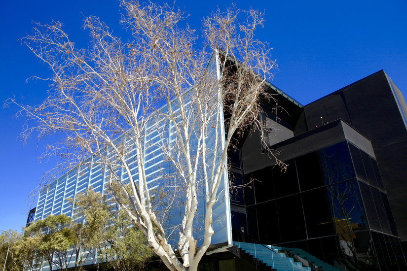 Keyes Art Mile Gallery Tour Johannesburg