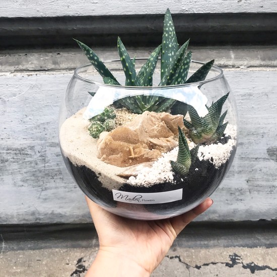 Madlen Flowers Shopping in Katowice Katowice