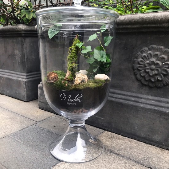 Madlen Flowers Shopping in Katowice Katowice