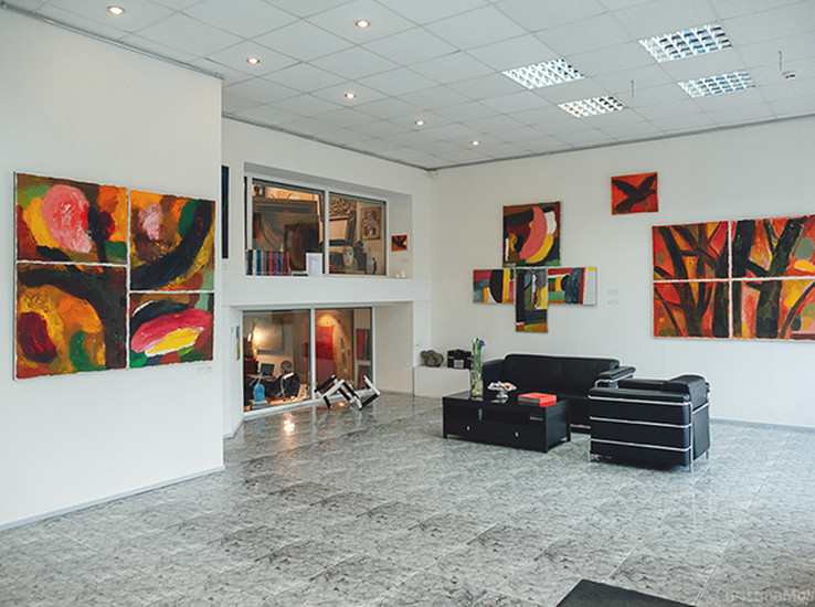 DiDi Art Gallery Sightseeing St.Petersburg