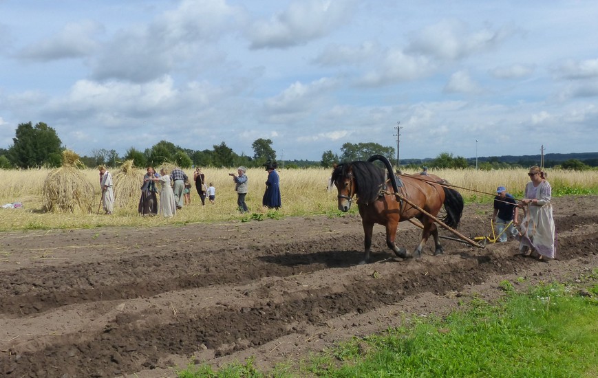 Estonian Agricultural Museum Around Tartu Tartu