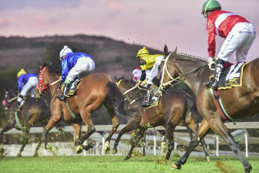 Turffontein Racecourse Sightseeing Johannesburg