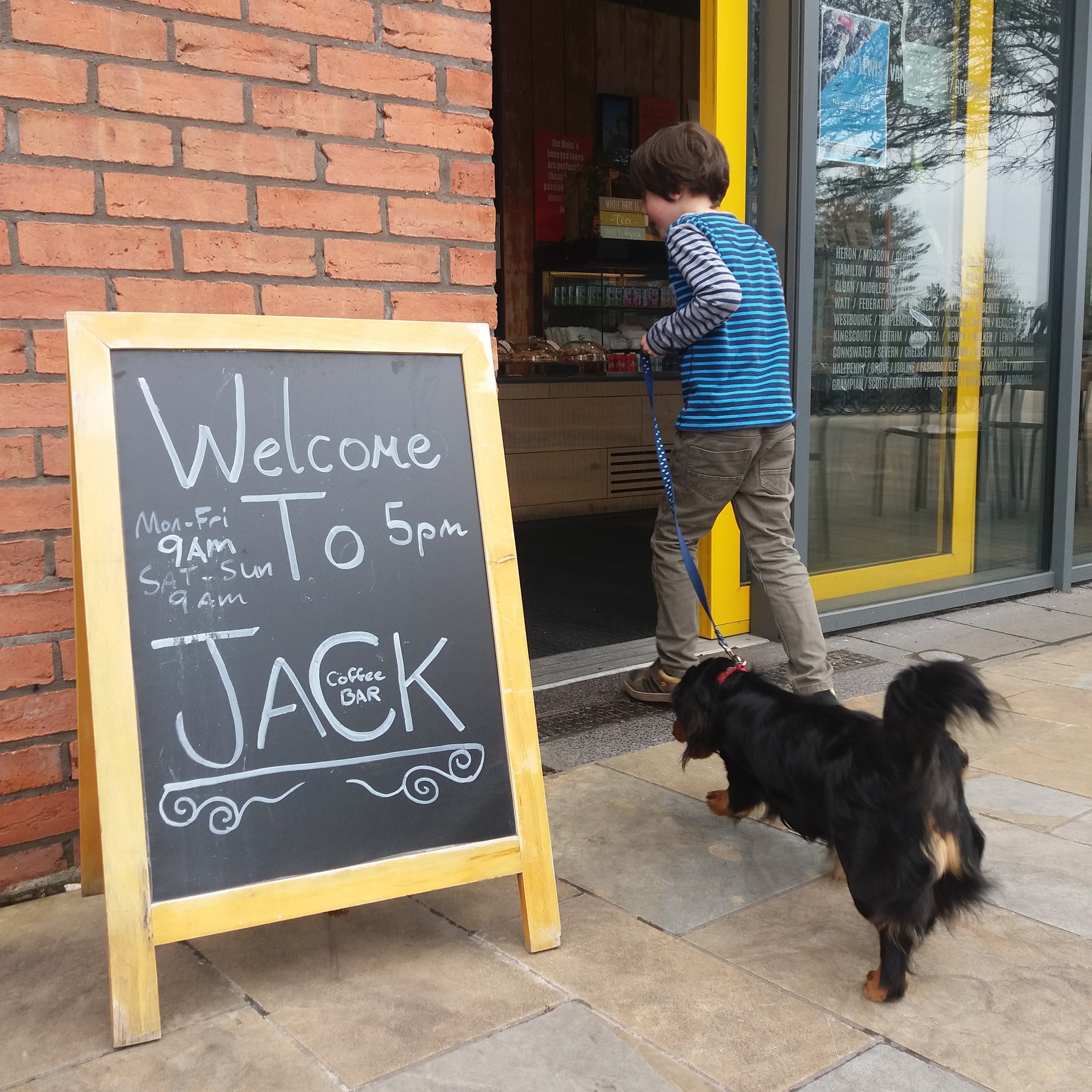 Dog friendly Belfast & N. Ireland