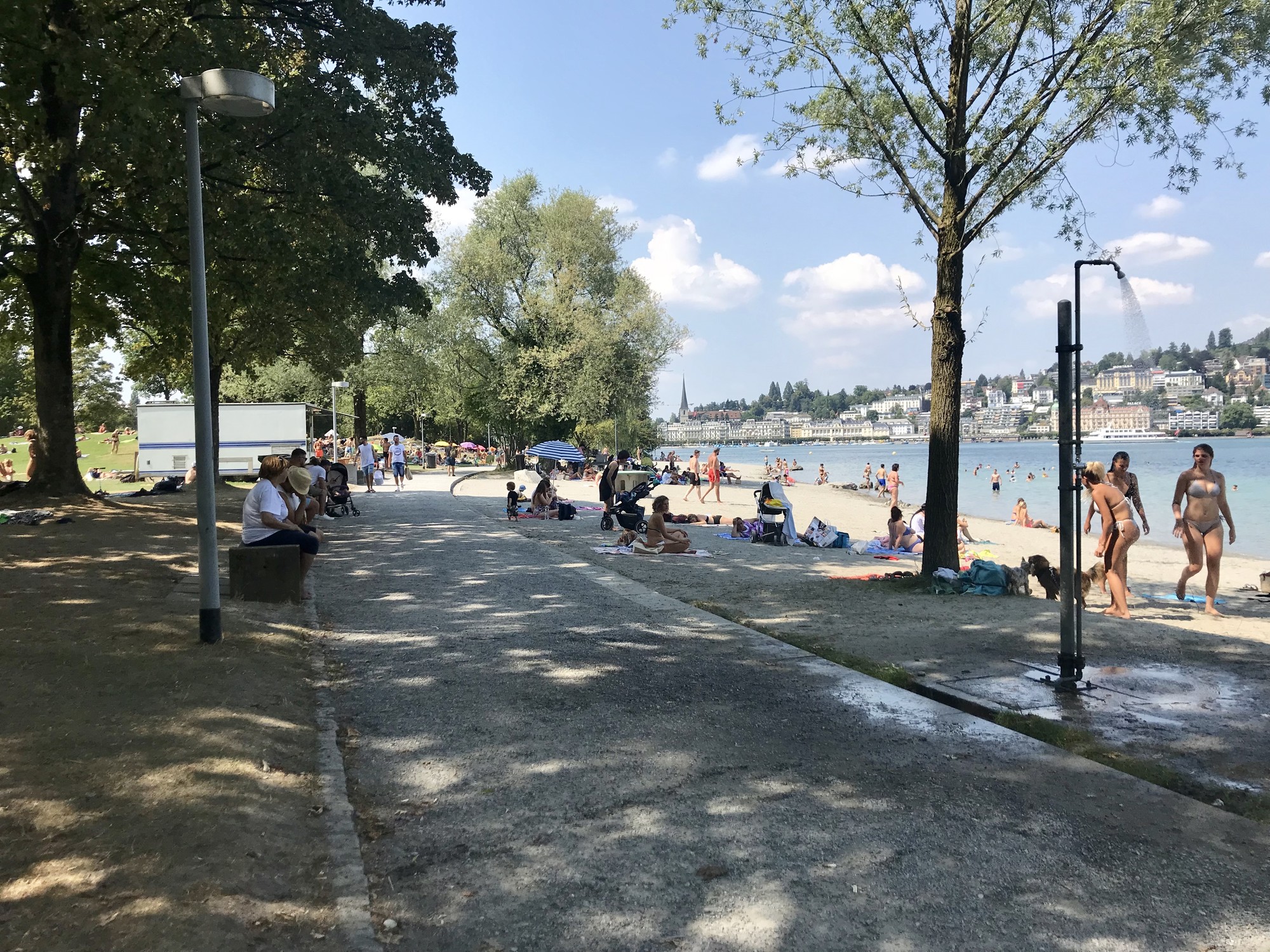 Swimming, sunbathing and drinking on Lake Lucerne