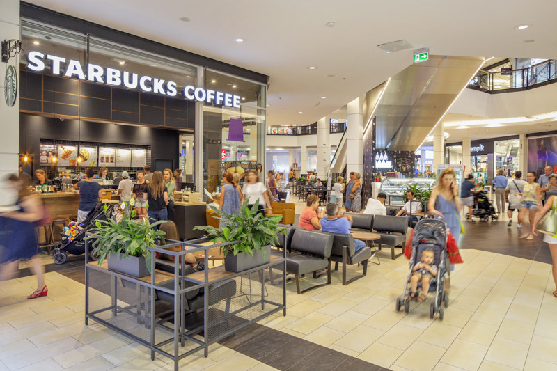 MAGNOLIA PARK – The Magnolia Park