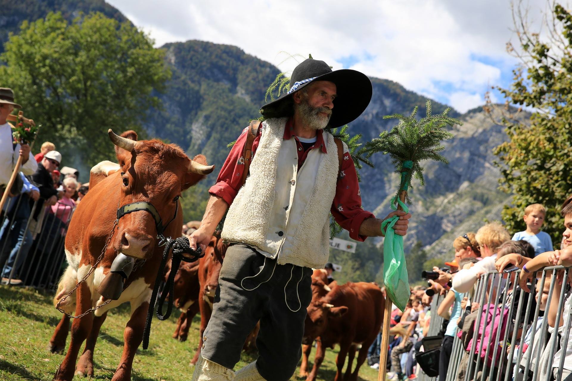 Kravji Bal Culture & Events Bohinj