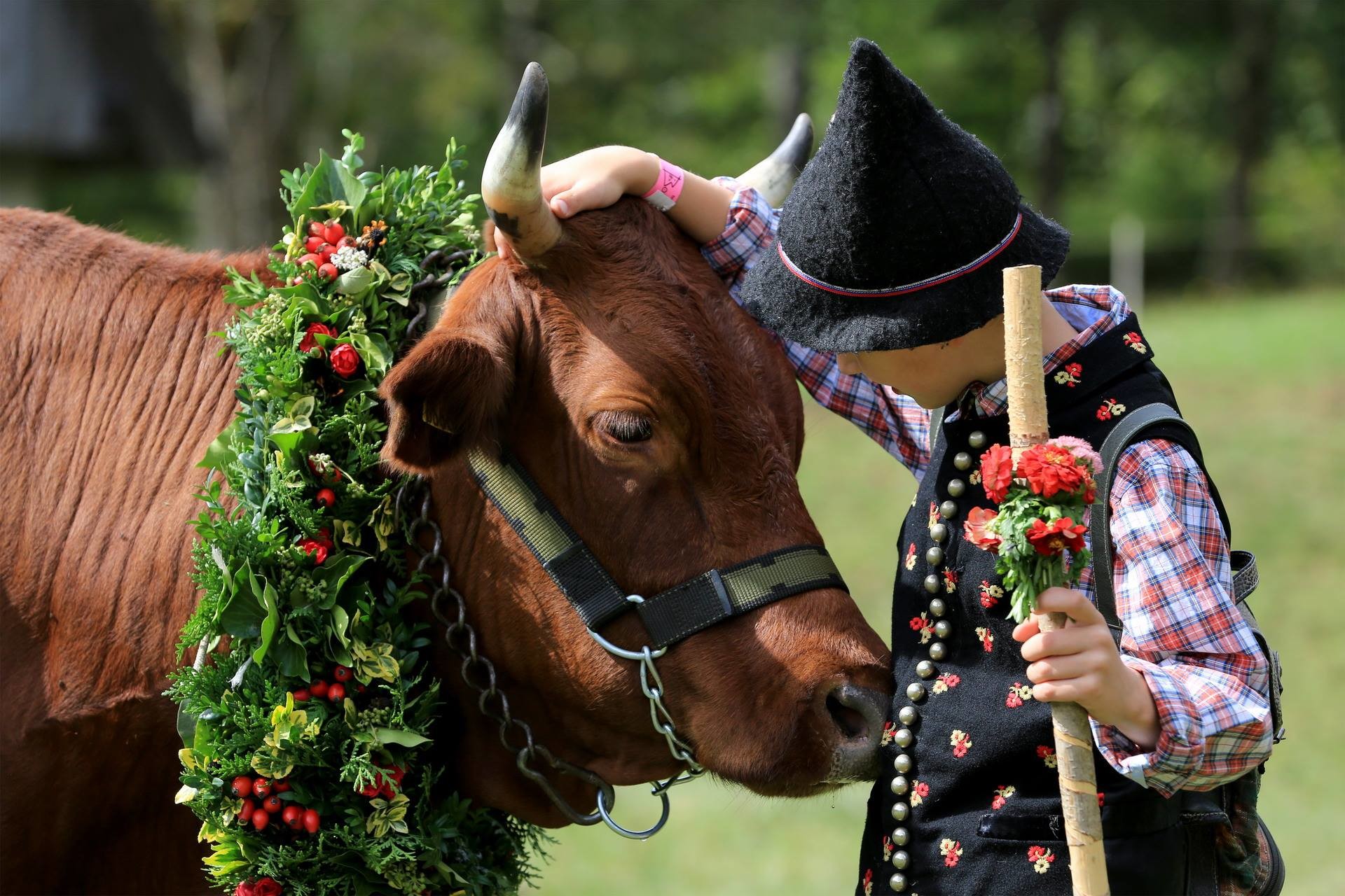 Kravji Bal Culture & Events Bohinj