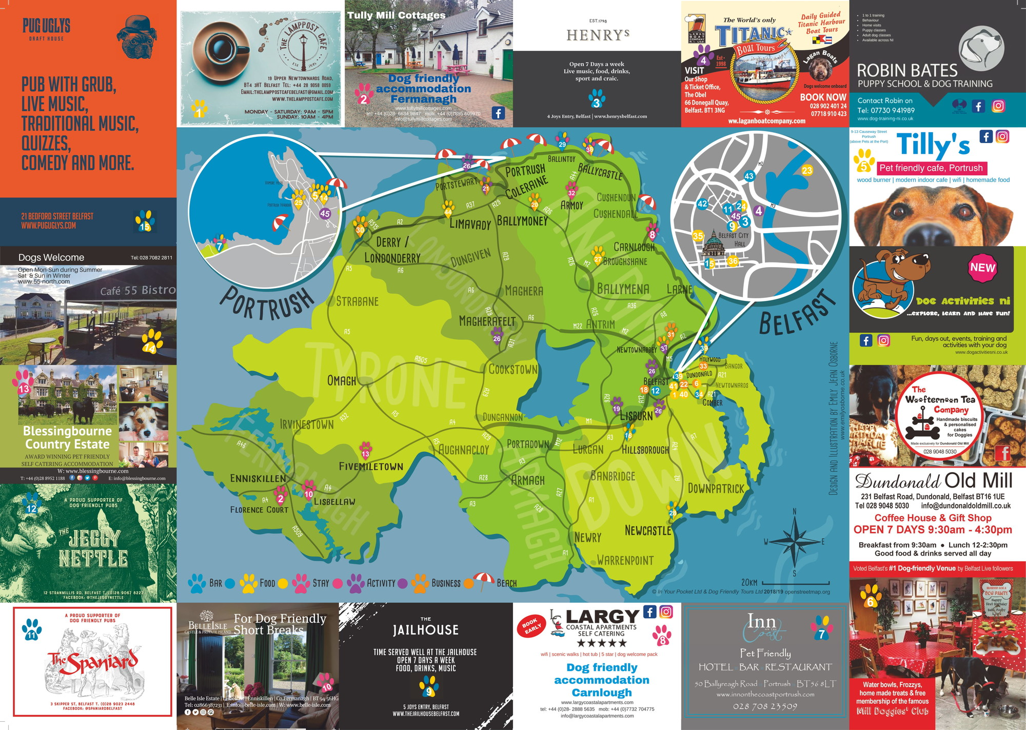 Are Dogs Allowed On Buses In Ireland