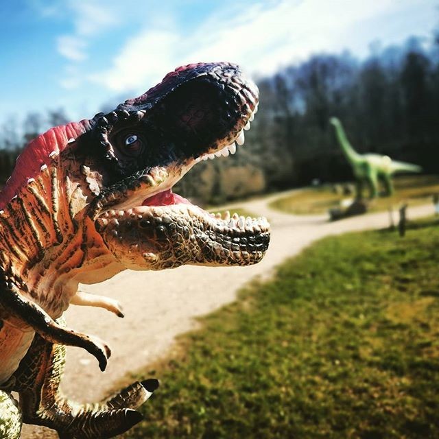Dinosaur Park Leisure & Wellbeing Klaipėda