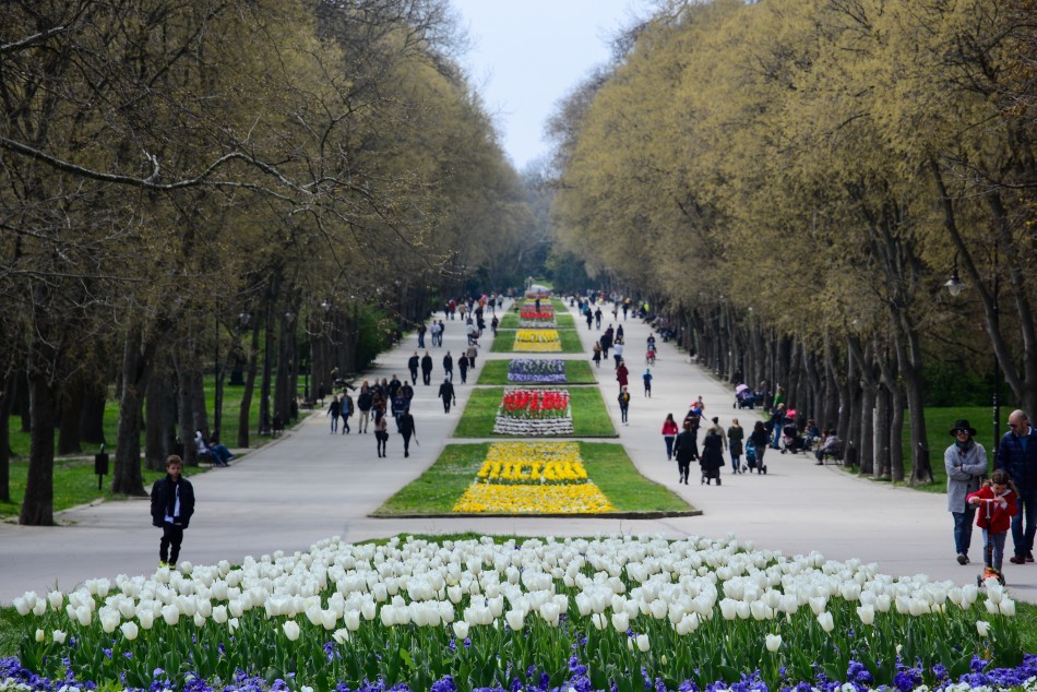 Sea Garden Sightseeing Varna
