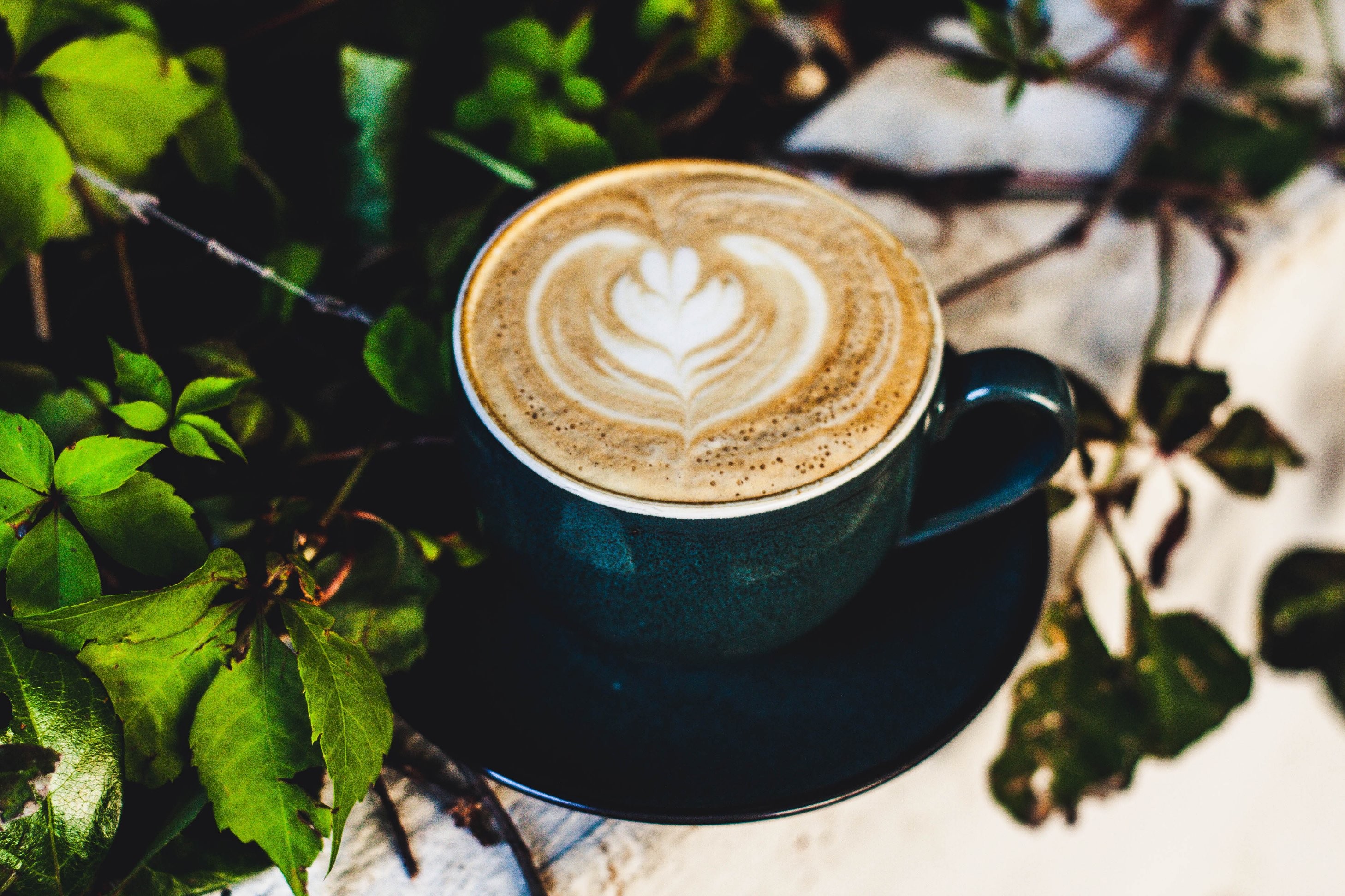 Home of the Bean Cafes, coffee shops & delis Johannesburg