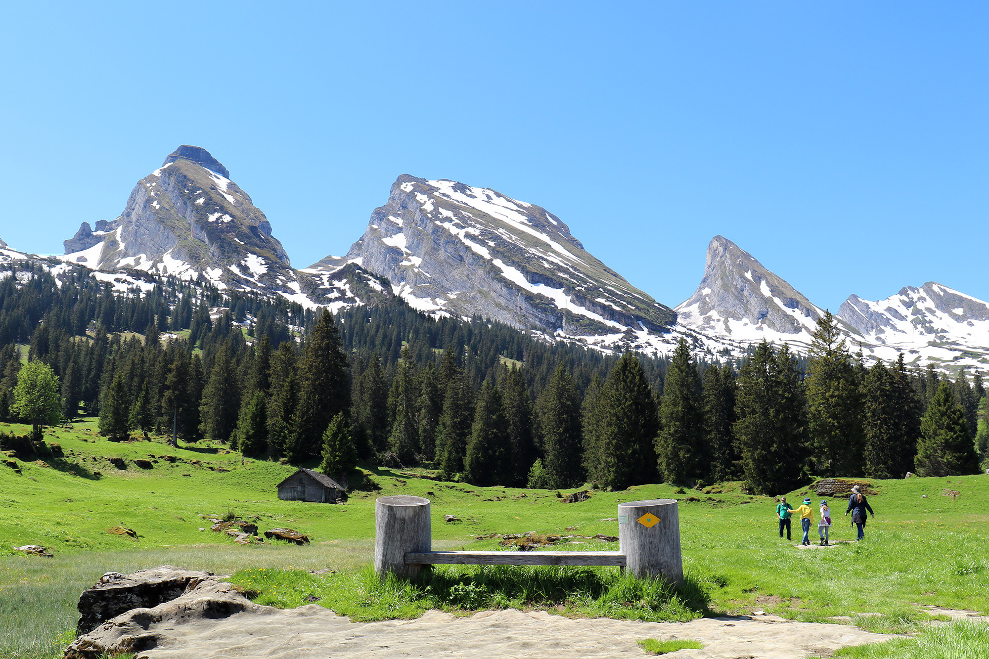 Mountain peaks near Zurich Info & Tickets