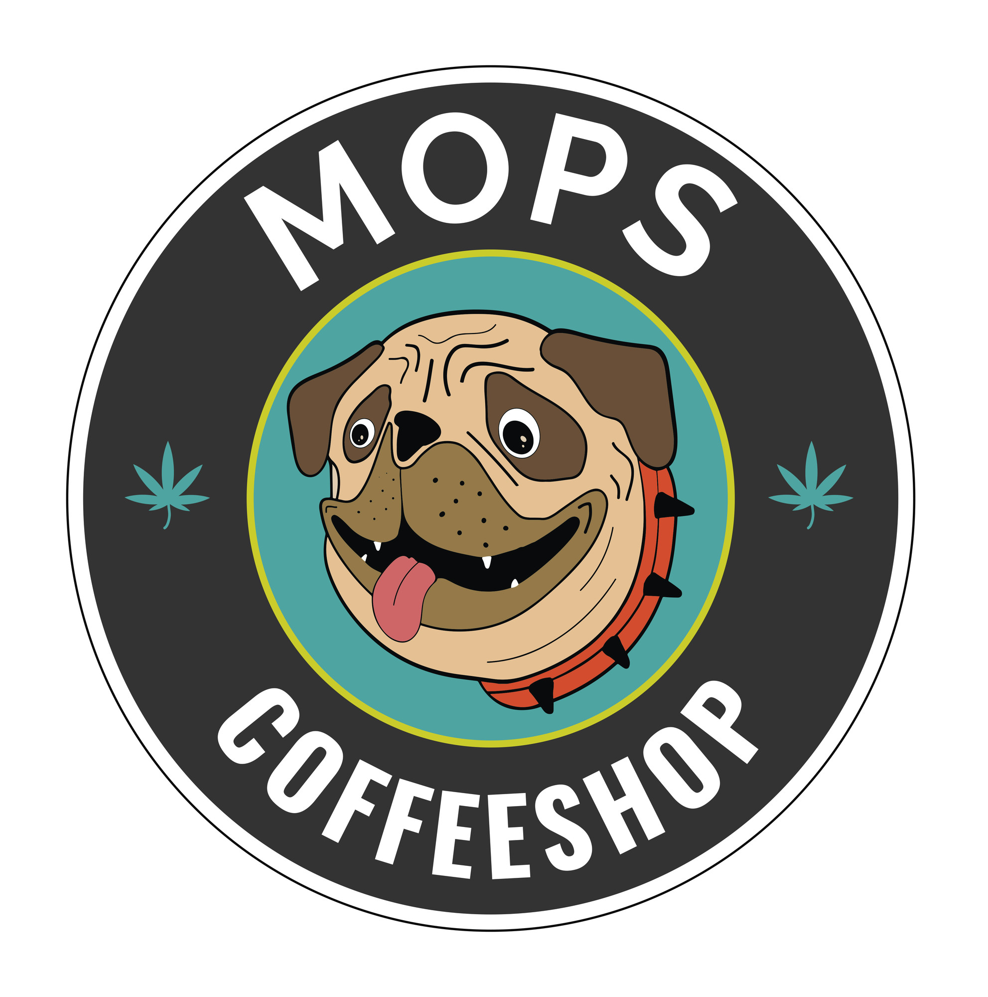 Mops Cannabis Store Shopping in Kraków Krakow