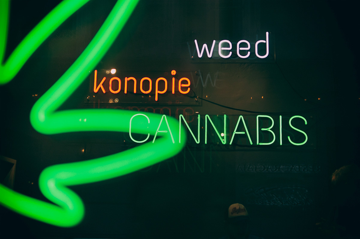 Mops Cannabis Store Shopping in Kraków Krakow