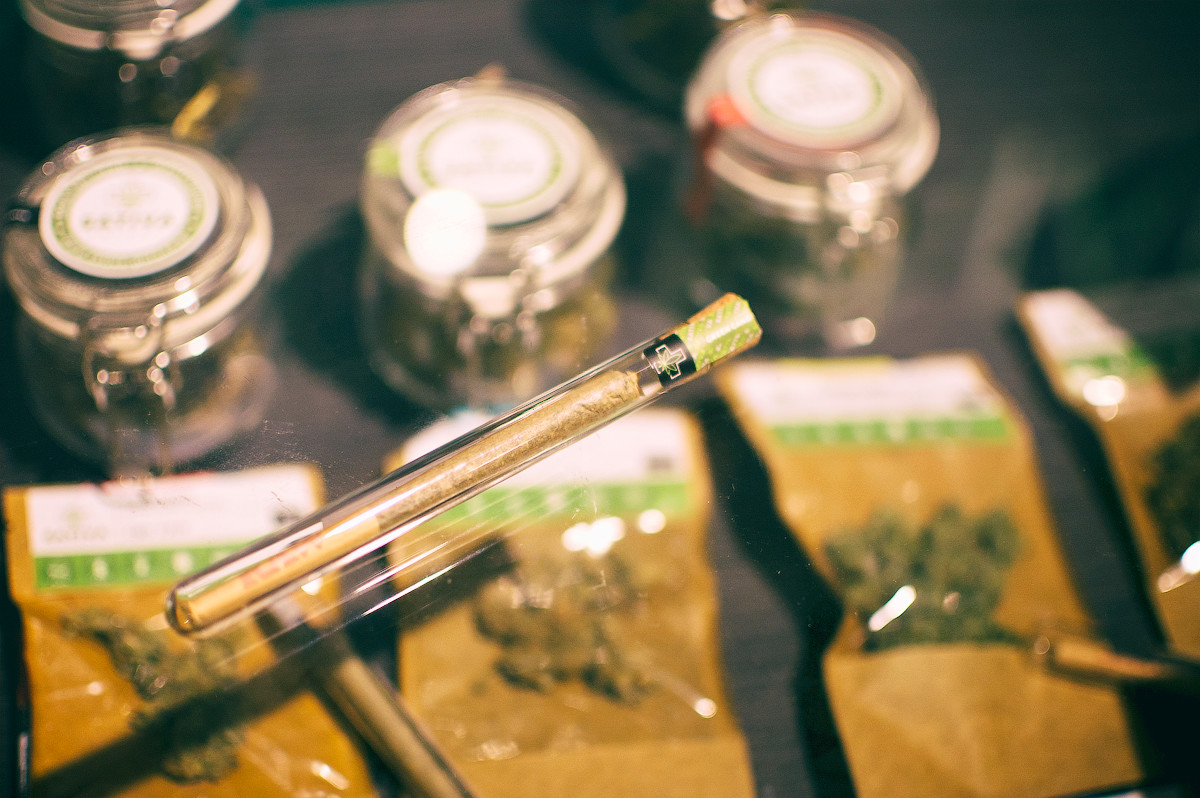 Mops Cannabis Store Shopping in Kraków Krakow