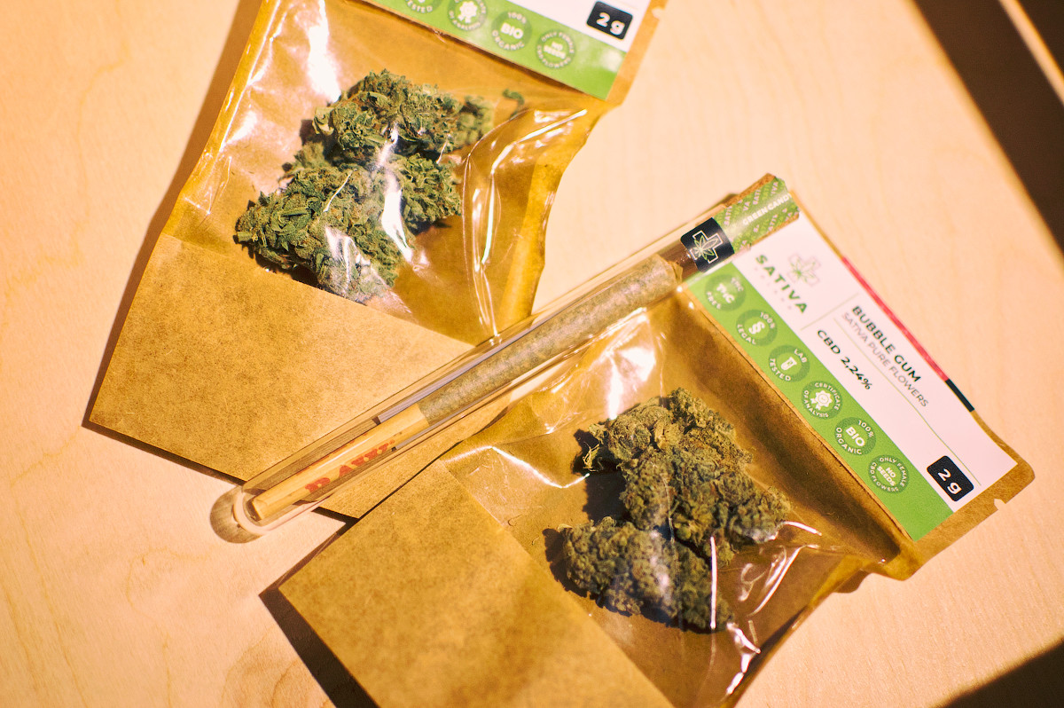 Mops Cannabis Store Shopping in Kraków Krakow