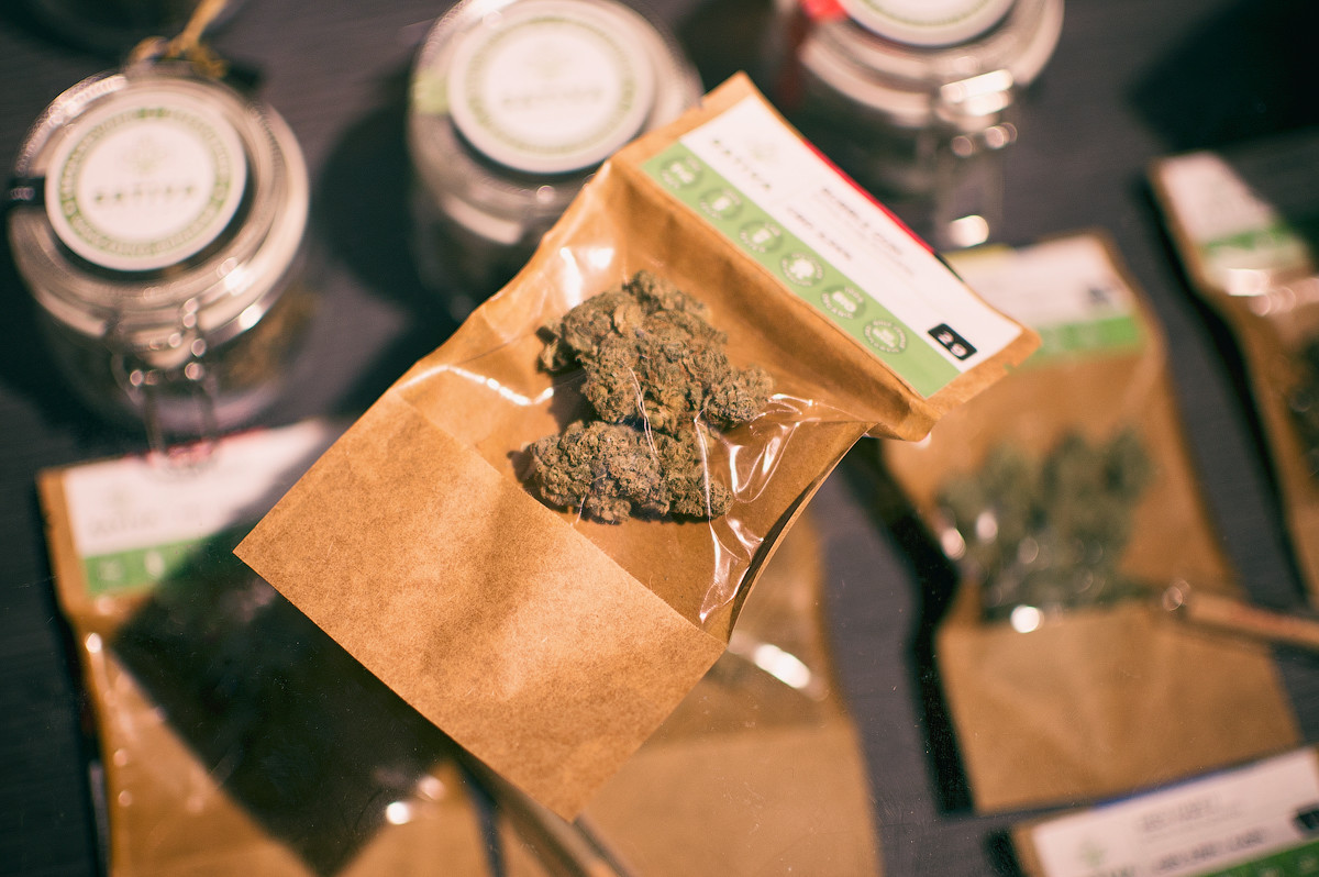 Mops Cannabis Store Shopping in Kraków Krakow