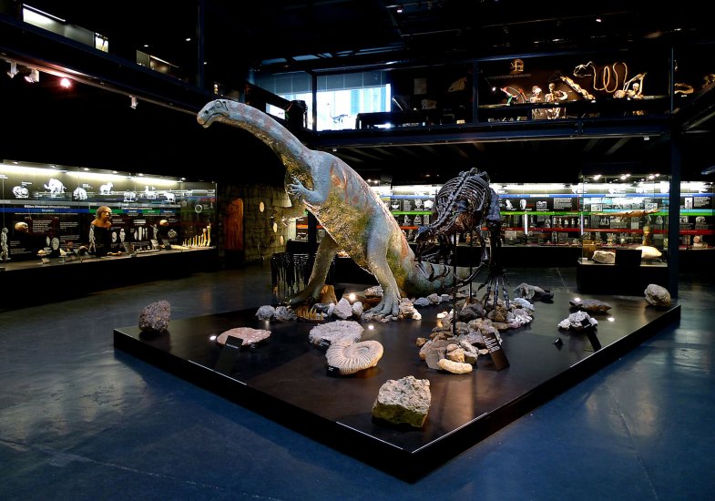 Kulturama Museum of Mankind What to see Zurich