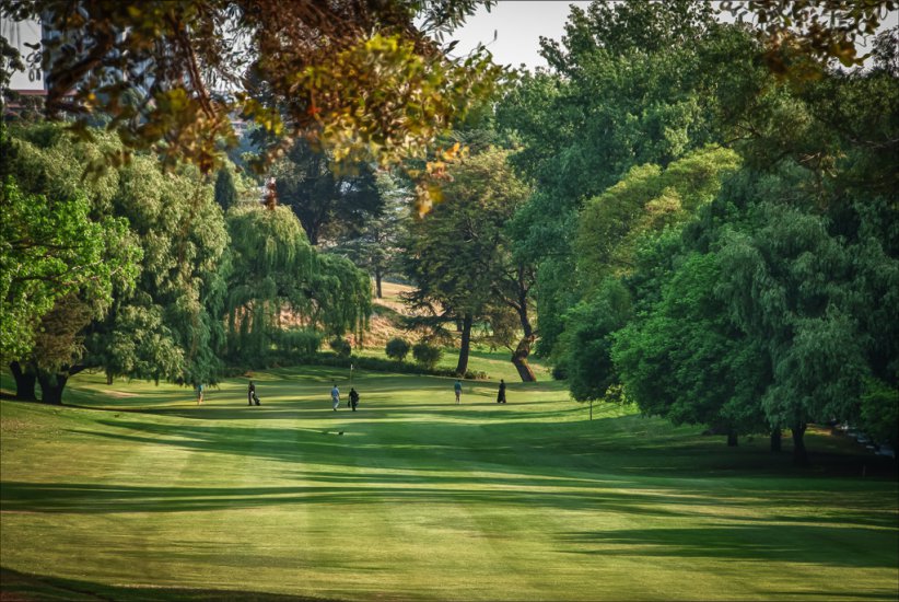 Parkview Golf Club Parks, Sports & Outdoors Johannesburg