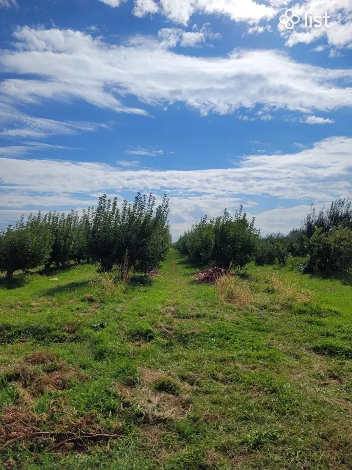 Agricultural plot in Ashtarak, 4440 sq.m. Land for Sale List.am