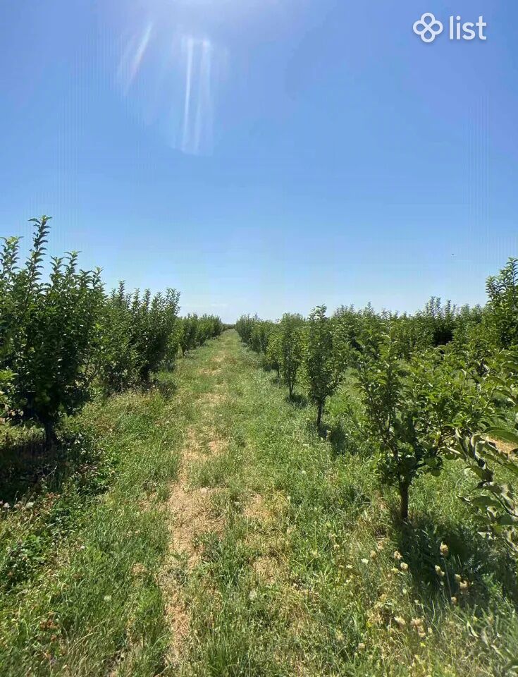 Agricultural plot in Yeghvard, 25,000 sq.m. Land for Sale List.am