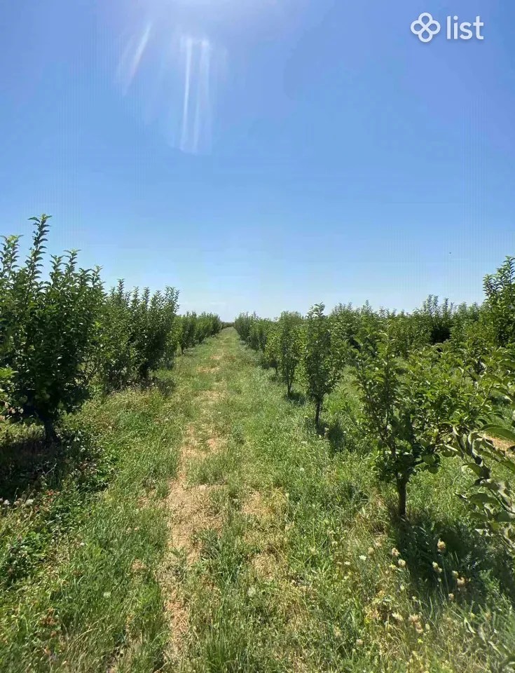 Agricultural plot in Yeghvard, 25,000 sq.m. Land for Sale List.am