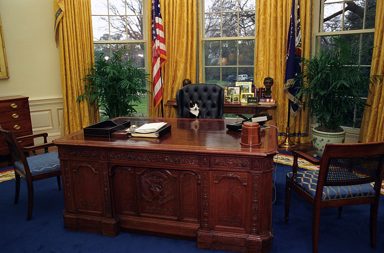 Presidential cat Socks sitting at the Resolute desk in 1994 MLTSHP