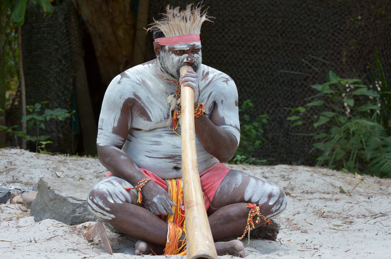 Didgeridoo Player MLTSHP