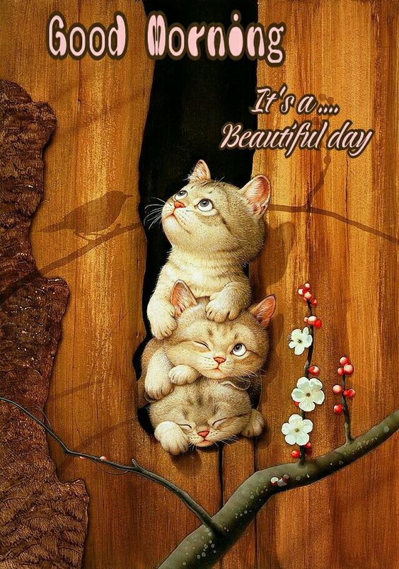 Good Morning. It's a Beautiful day Cute Kittens Good Day