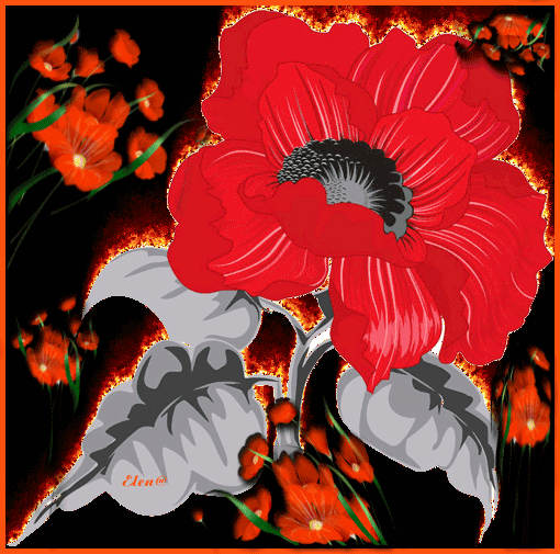 Red Flower Animated Pictures