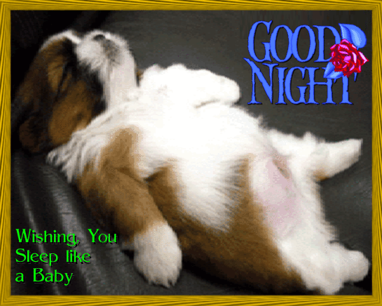 Good Night. Wishing You sleep like a Baby. Cute Puppy