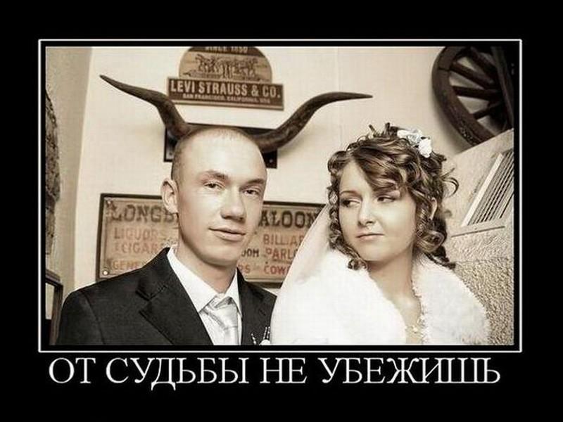 Стихотворение «На этом снимке молоды с тобой. В память об ушедшей моей