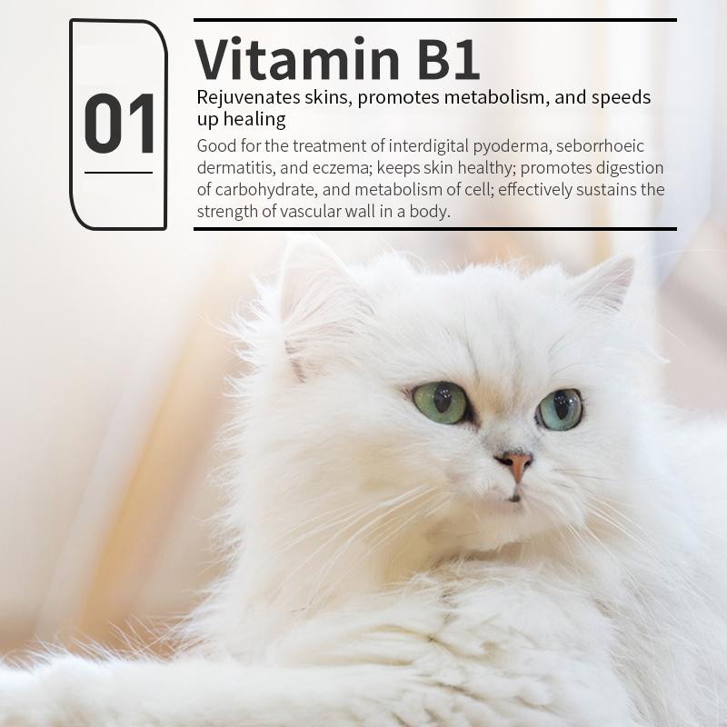Liquid Vitamin B Complex for Dogs/ Cats (Liquid Vitamins for Dogs)