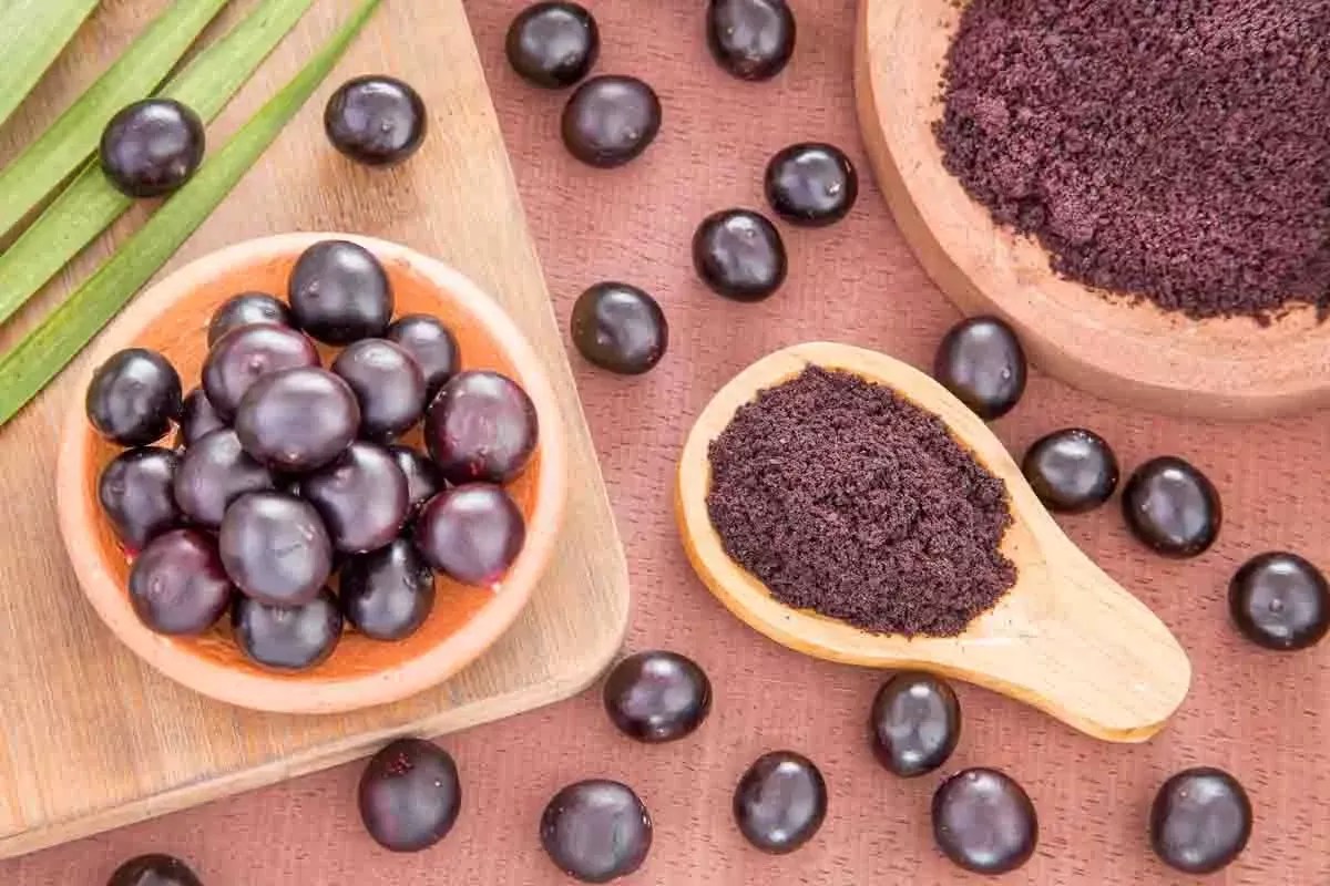 Can Dogs Have Acai? Benefits and Risks
