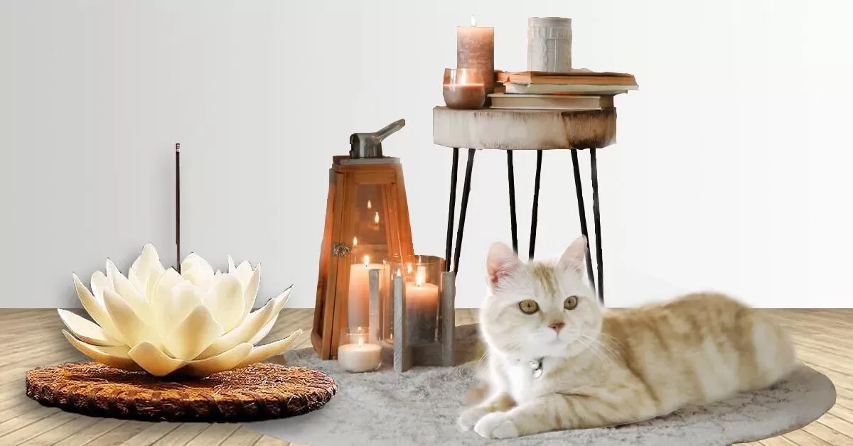 Is Incense Bad For Cats