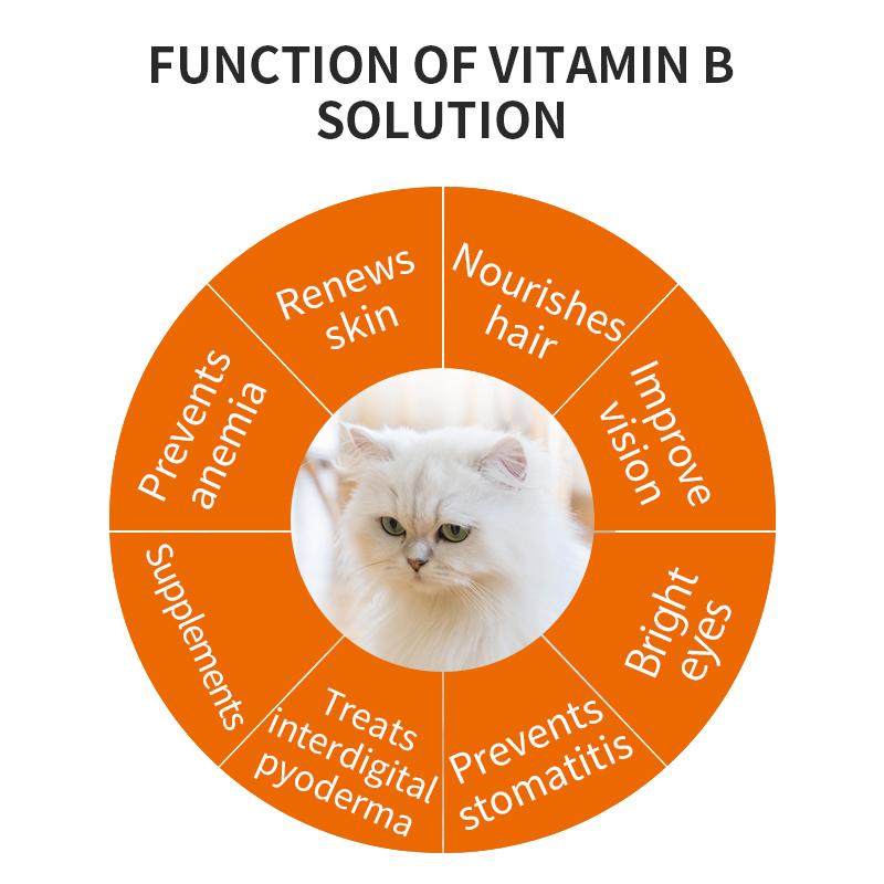 Liquid Vitamin B Complex for Dogs/ Cats (Liquid Vitamins for Dogs)