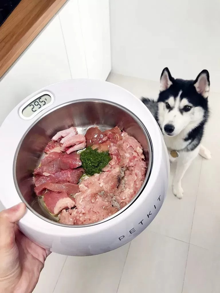 Can I Feed My Dog Raw Meat From the Supermarket
