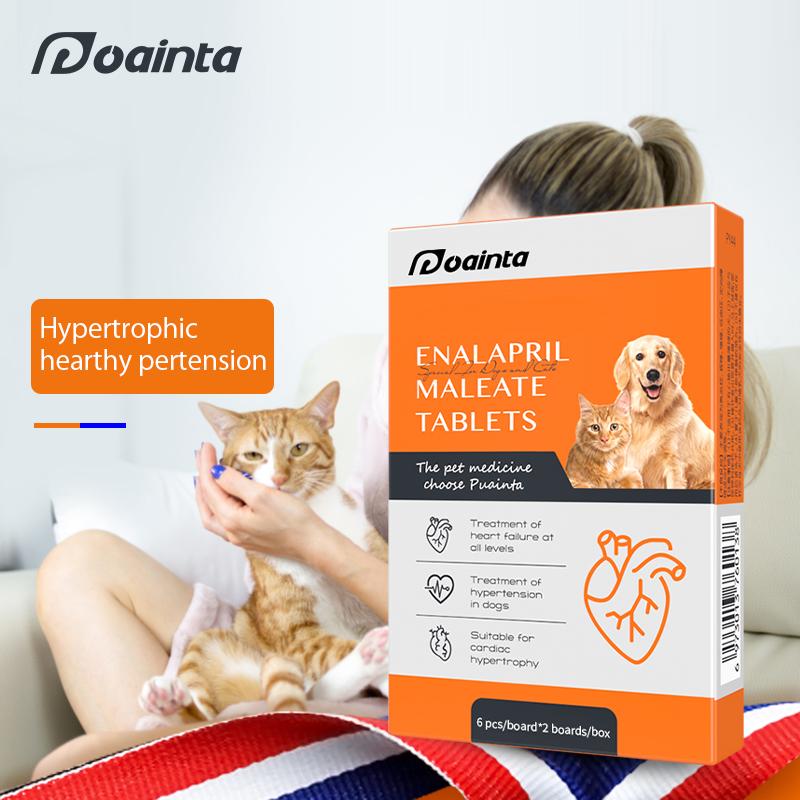 Puainta® Enalapril Maleate Heart Medications Heart Supplements for