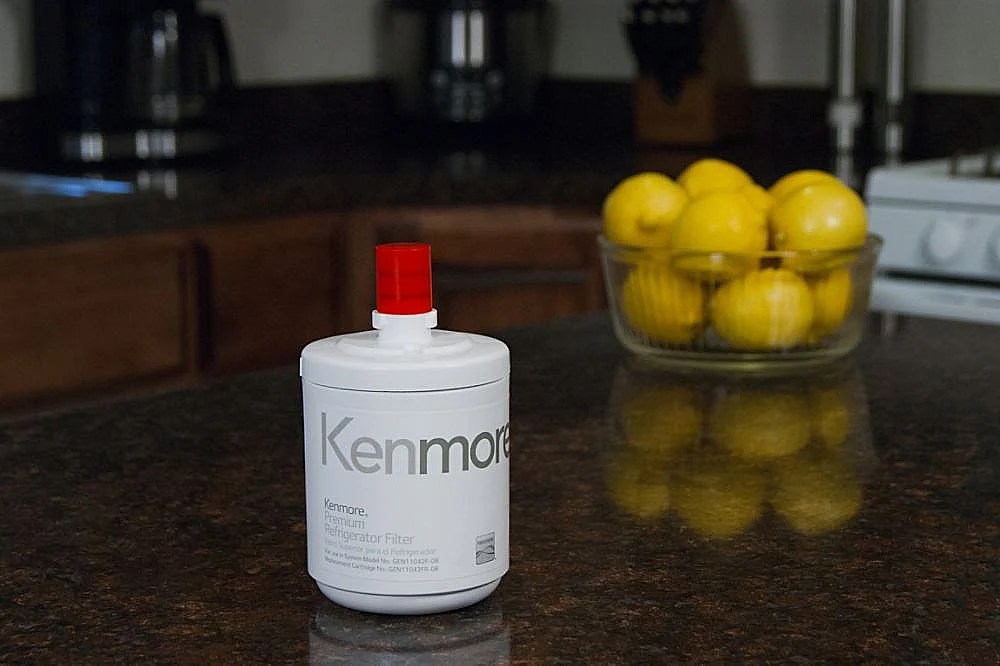 Genuine Kenmore Refrigerator Water Filter 9890 (replaces 5231JA2002B