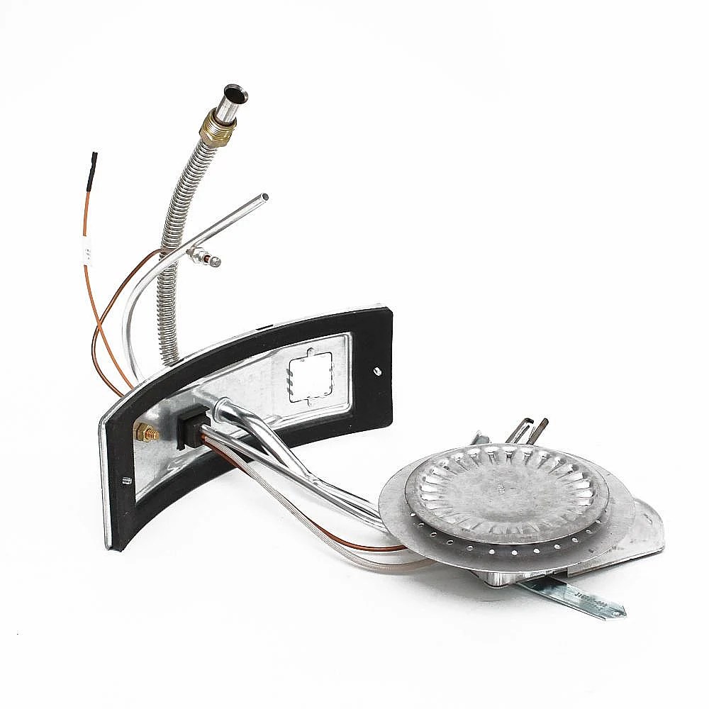 Water Heater Manifold Door and Burner Assembly (replaces 9006621