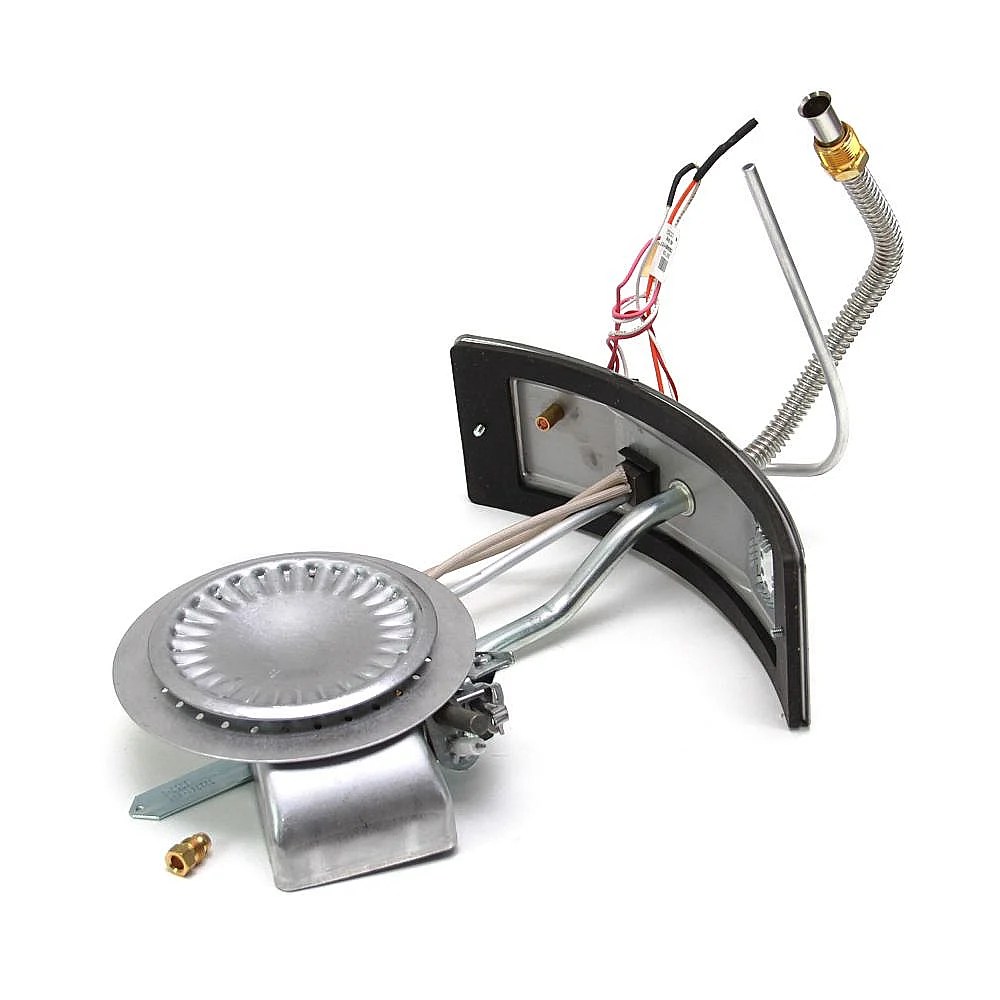 Water Heater Manifold Door and Burner Assembly Part Number 9007899005