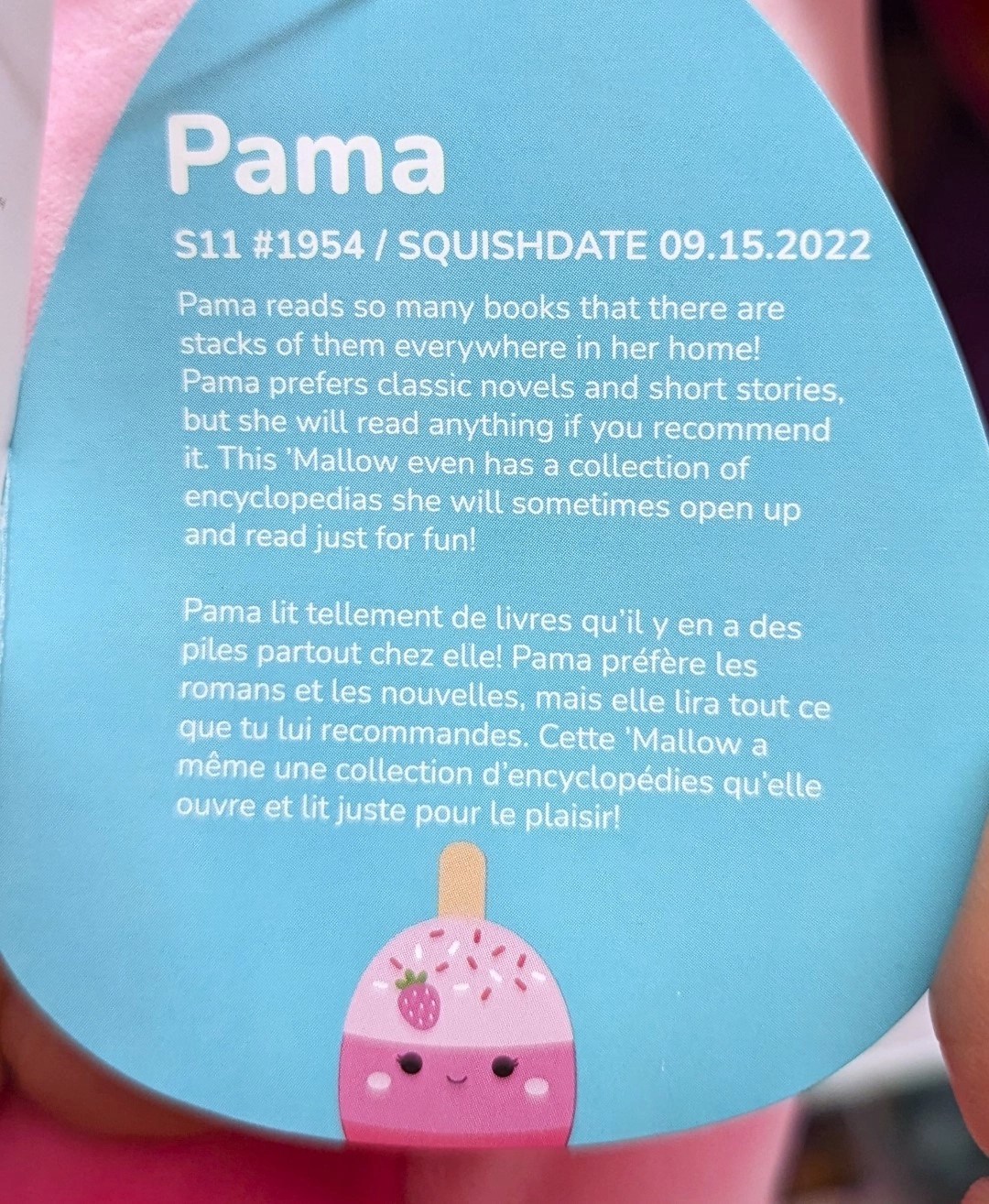 Pama the Cake Pop Squishmallows SquadApp