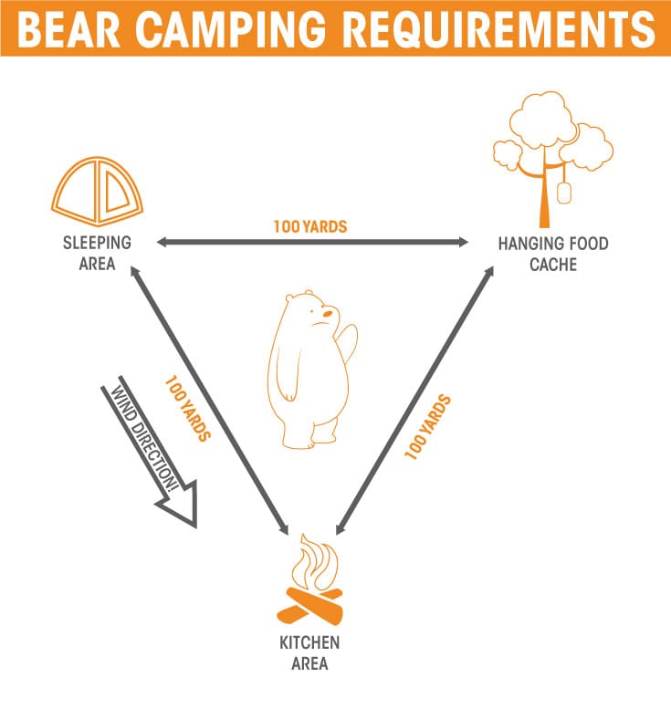 Hanging Food vs Bear Canister Which is best for your trip? Sierra Blog