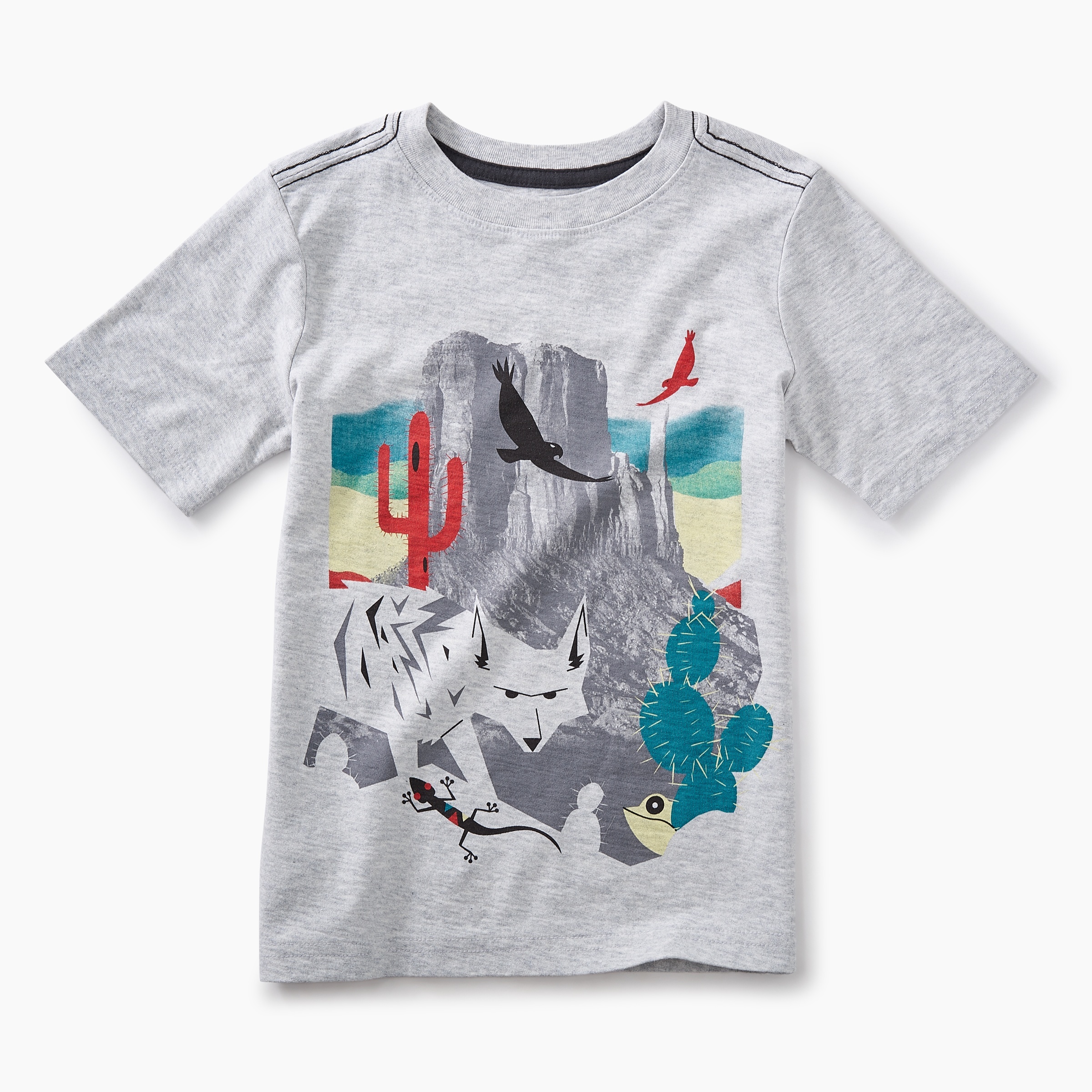 Canyon Lands Graphic Tee Tea Collection
