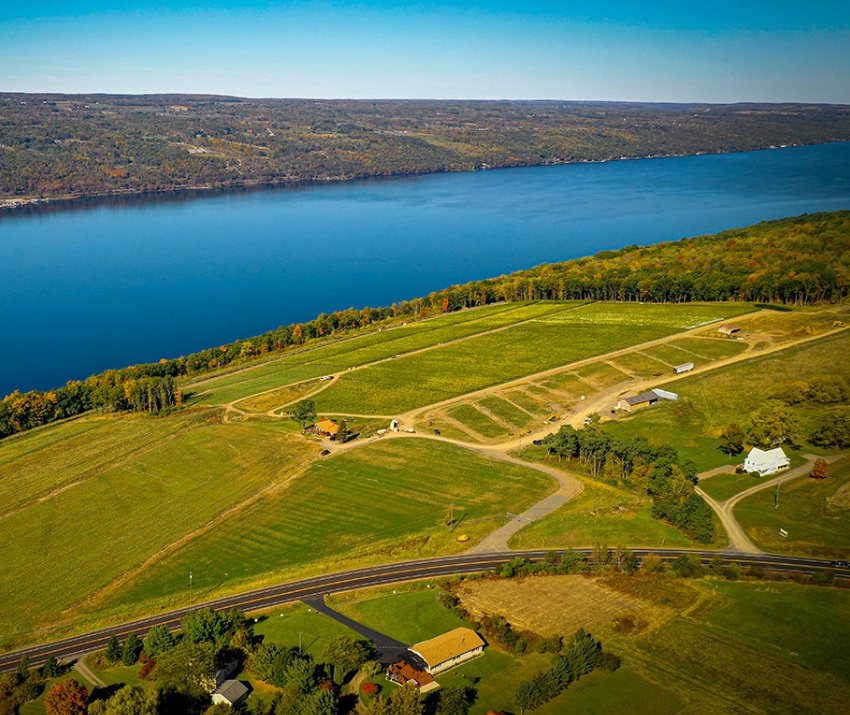Finger Lakes Riesling Paul Hobbs Has Landed TerroirSense Wine Review