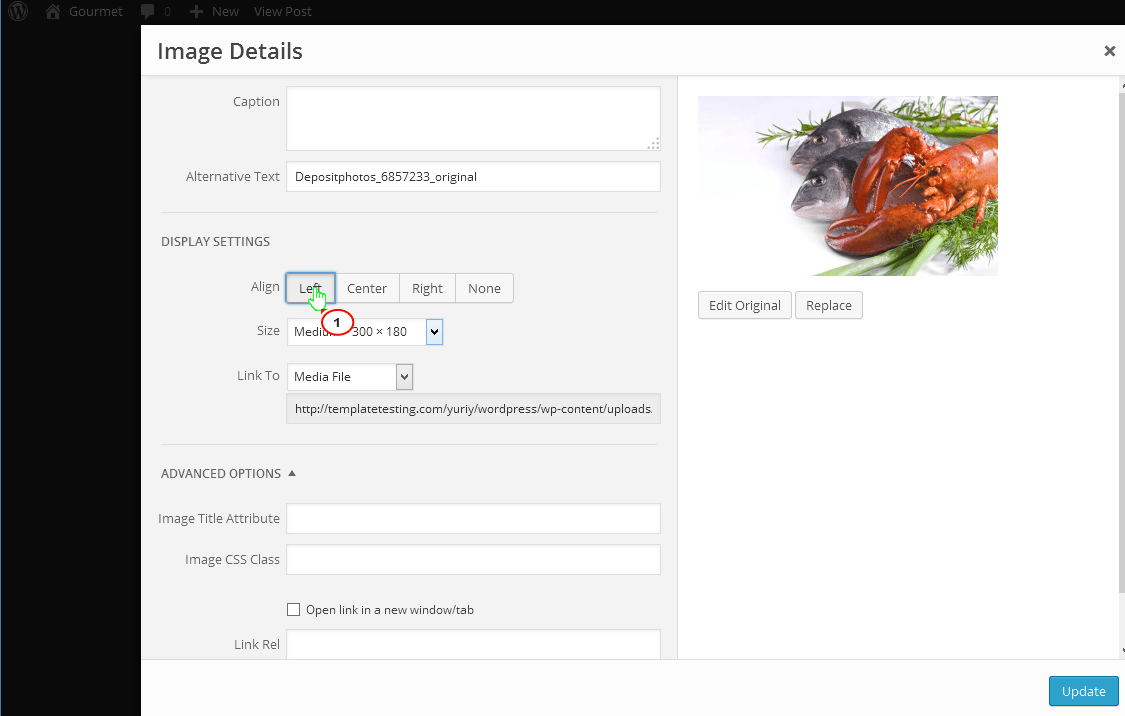 WordPress. How to wrap text around the image Template Monster Help