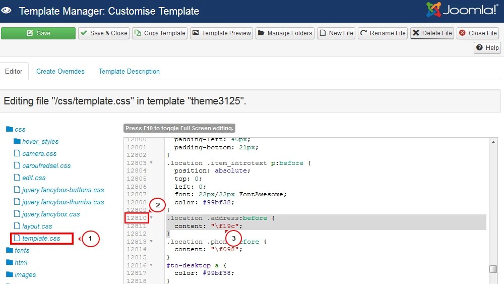 Joomla 3.x. How to replace Font Awesome icons (by changing
