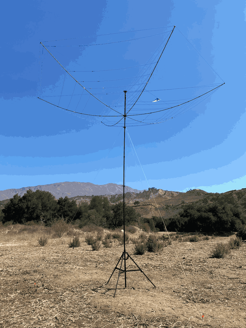 The Buddihex has arrived!